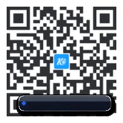 系统版 iOS 二维码